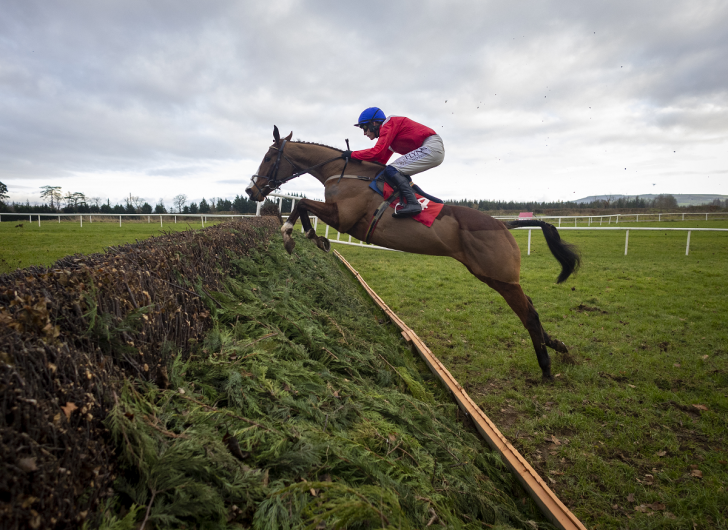Punchestown
